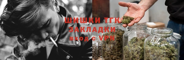 прущие грибы Богородицк