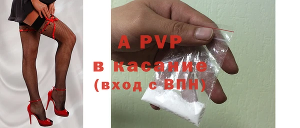прущие грибы Богородицк