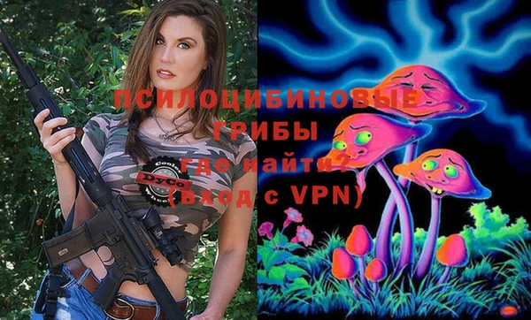 каннабис Аркадак