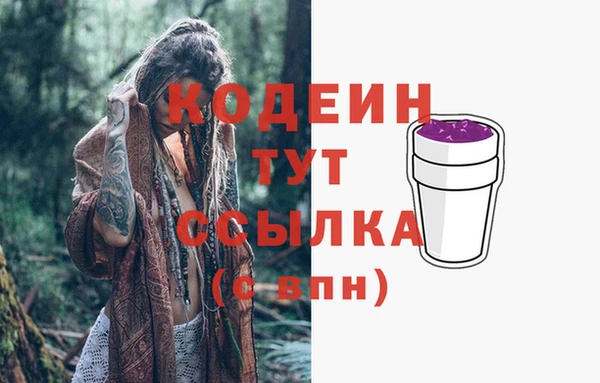 прущие грибы Богородицк