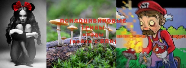 2c-b Богданович