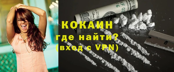 прущие грибы Богородицк