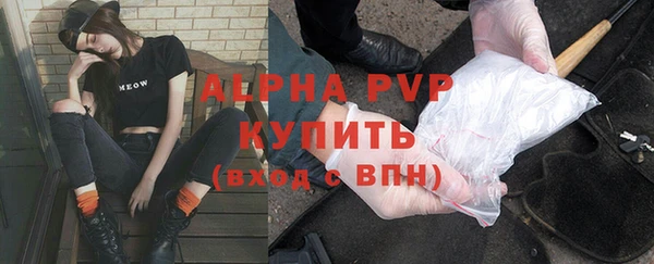СК Анива