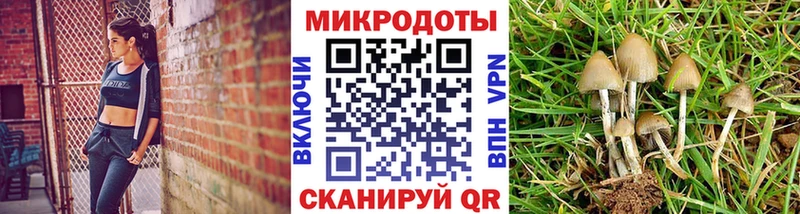 Псилоцибиновые грибы GOLDEN TEACHER  купить наркотики сайты  блэк спрут tor  Голицыно 